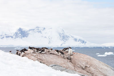 Scenic view of snowcapped mountains by sea against sky