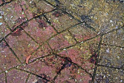 Full frame shot of tiled floor