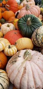 High angle view of pumpkins for sale at market