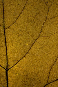 Full frame shot of yellow pattern on floor