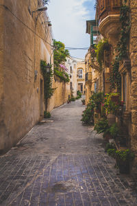 Narrow alley along buildings