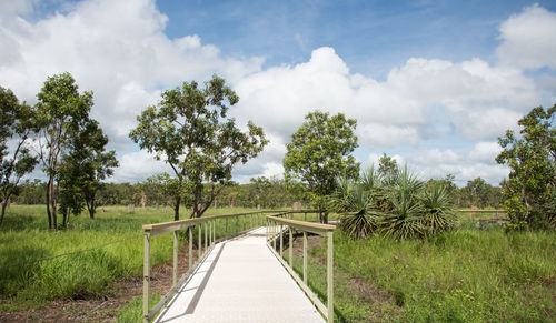 Scenic view of trees on landscape against sky