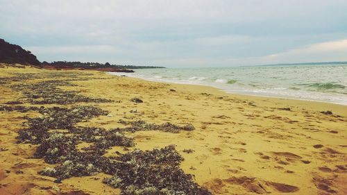 Scenic view of sea against cloudy sky