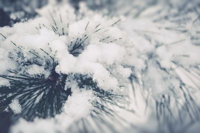 Close-up of frozen snow