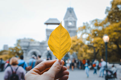 Close-up of hand holding yellow flower against clear sky