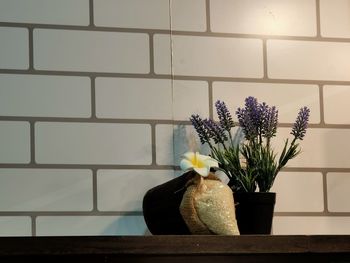 Potted plant in vase against wall at home