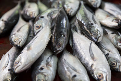 Full frame shot of fish for sale in market