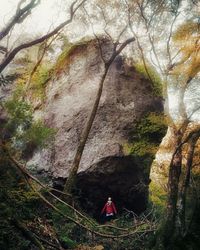 People standing on rock formation in forest