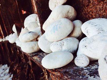 Close-up of pebbles