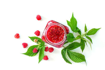 High angle view of fruits against white background