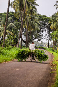 Rear view of woman walking on road by trees