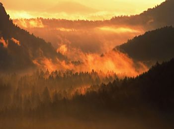 Autumn sunset view over forest to fall colorful valley full of dense mist colred with hot sun rays