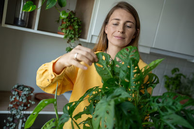 Charming woman plant lover checking leaves of potted plant for dry spots, diseases, insects, pests