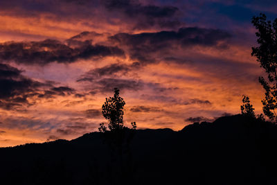 Silhouette plants against dramatic sky during sunset