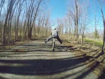 Bare trees in park