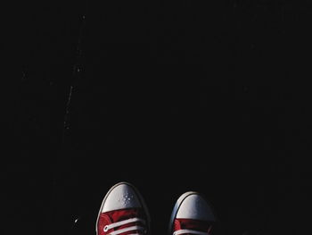 Low section of man standing on ground