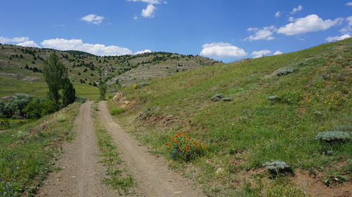 Scenic view of road amidst field against sky