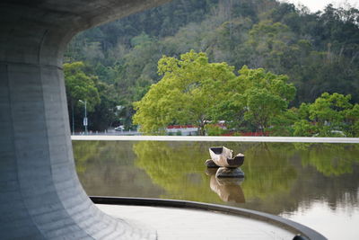 Rear view of man on lake seen through window