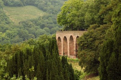 Green landscape part ancient roman building against background greenery trees shrubs located valley