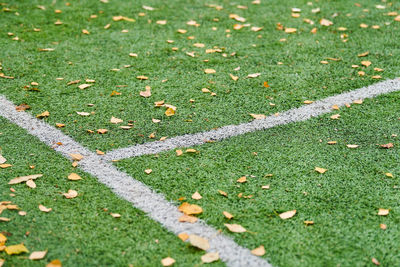 High angle view of sunlight falling on field