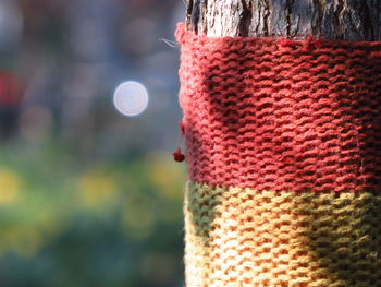 Close-up of knitted wool on tree trunk