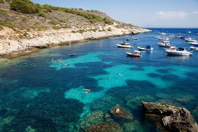 High angle view of sailboats in sea