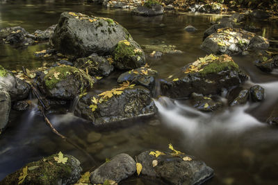 Close-up of water flowing in river