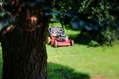 View of park bench