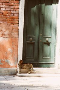 Closed door of a building