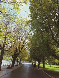 People walking on footpath amidst trees in park