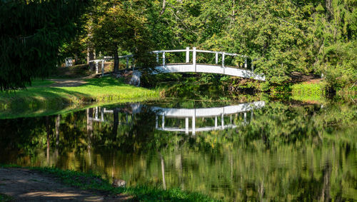 Scenic view of lake by trees