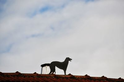 Low angle view of horse against sky