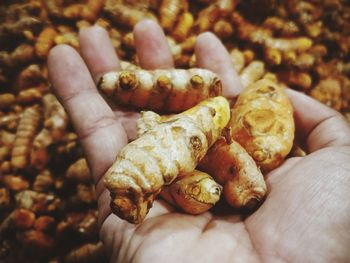 Close-up of hand holding bread