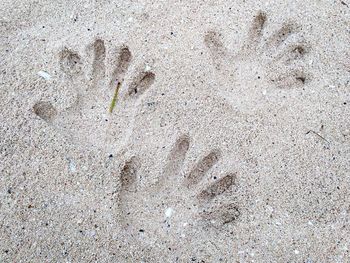 High angle view of footprints on sand