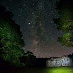 Trees against milky way at night