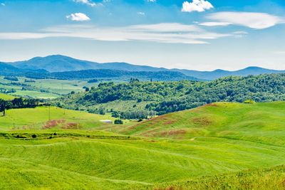 Scenic view of green landscape against sky