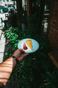 High angle view of hand holding ice cream