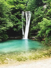 Scenic view of waterfall in forest