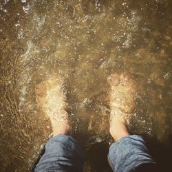 Low section of man standing in water