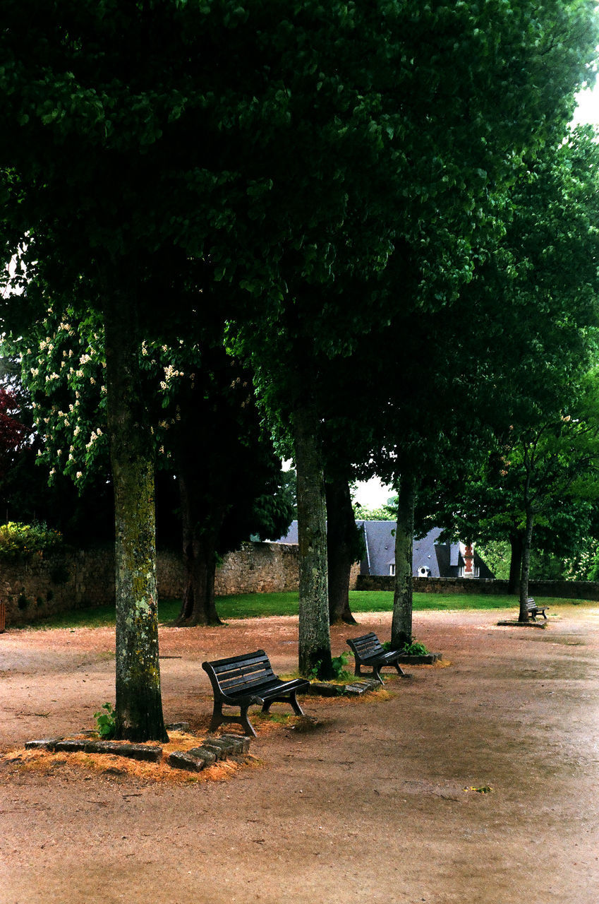 EMPTY PARK BENCH AGAINST TREES IN BACKGROUND