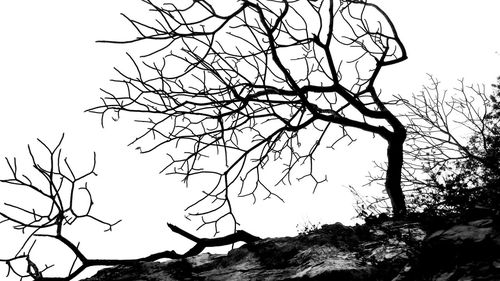 Low angle view of silhouette bare tree against clear sky