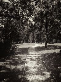 the way forward
