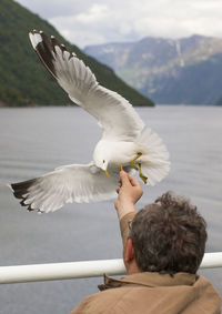 Man feeding seagull