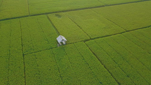 High angle view of man working on field