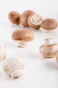 Close-up of mushrooms against white background