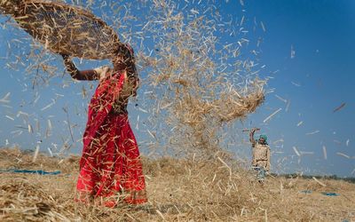 Woman spraying straws on land