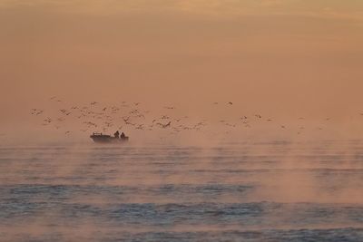 Birds flying over sea against sky during sunset