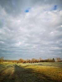 Scenic view of field against sky