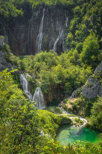 Scenic view of waterfall in forest