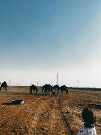 Rear view of girl standing on land